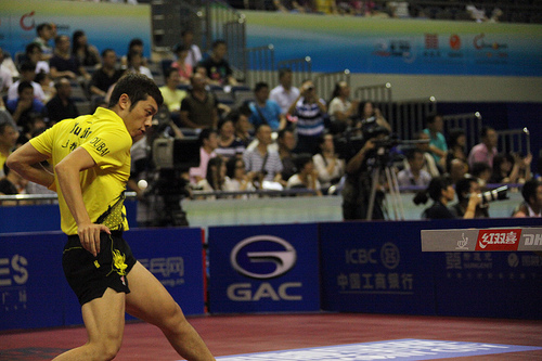 Xu Xin Xu Xin