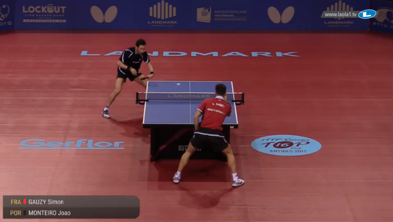 Gauzy vs Monteiro