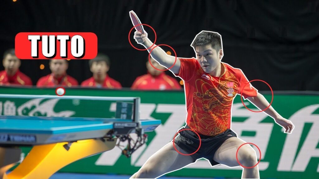APPRENDRE LE TOPSPIN REVERS - Fan Zhendong