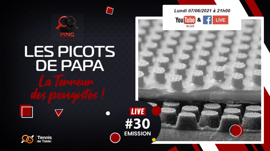 Les picots de PAPA, la terreur des pongistes