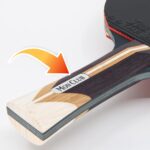 kit tennis de table 01