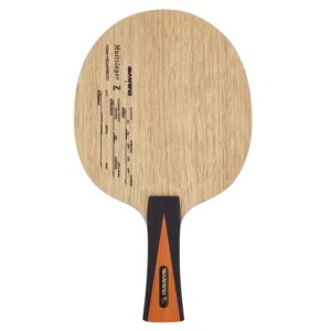 bois tennis de table 10 plis + 9 carbon multilayer z sanwei