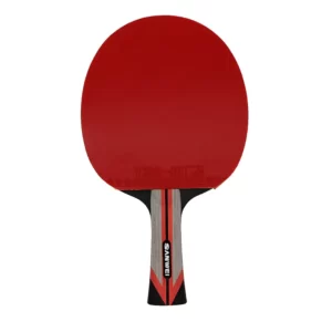 raquette ping pong phoenix sanwei
