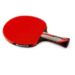 raquette ping pong phoenix sanwei