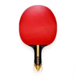 raquette ping pong polyvalente owl sanwei