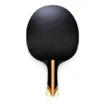 raquette ping pong polyvalente owl sanwei