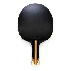 raquette ping pong polyvalente owl sanwei