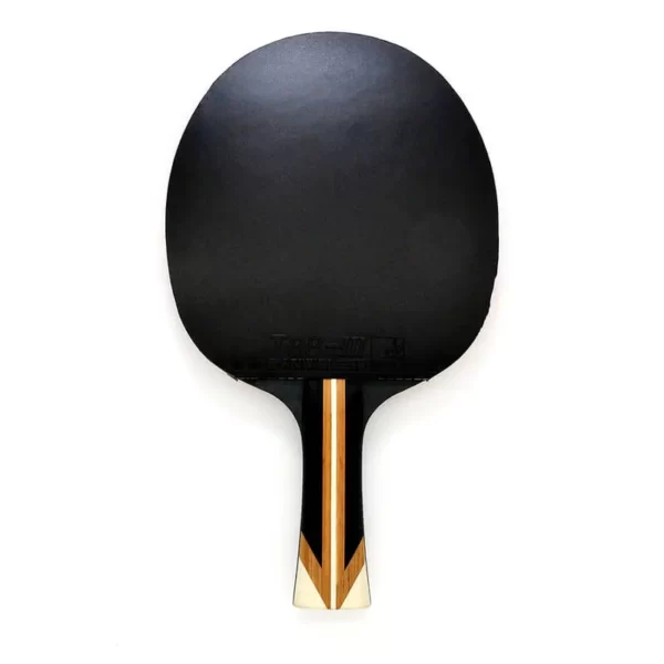 raquette ping pong polyvalente owl sanwei