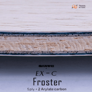 bois raquette ping pong carbon froster