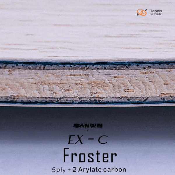 bois raquette ping pong carbon froster