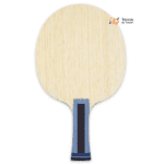 bois raquette ping pong carbon froster tennis de table