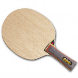 DONIC "APPELGREN ALLPLAY SENSO V2"