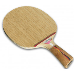 Donic "WALDNER DOTEC CARBON"