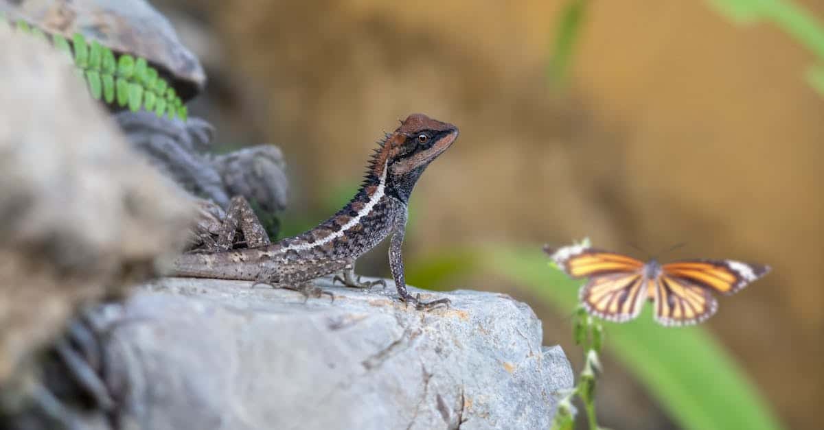 découvrez le parcours inspirant d'emma abdesselam-lacroix, une innovatrice passionnée et engagée qui repousse les limites dans son domaine. suivez ses projets ambitieux et son impact notable sur la société.