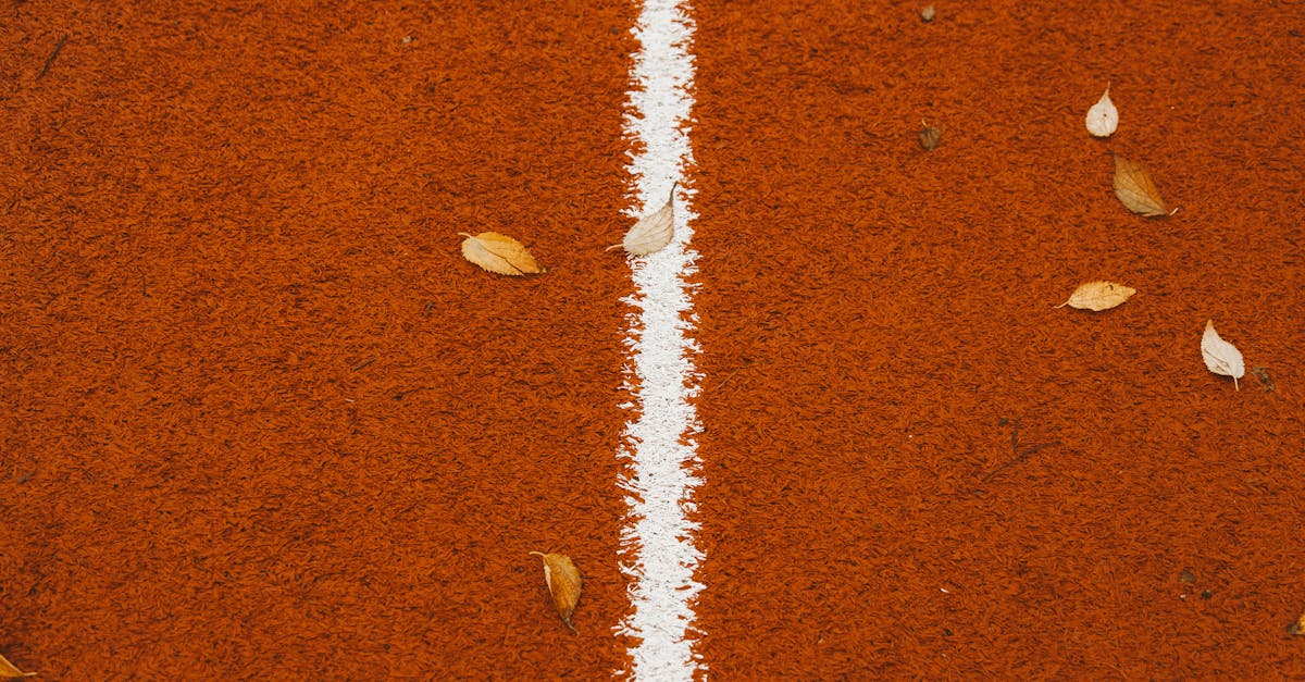 participez à un tournoi de tennis de table passionnant ! défiez des joueurs de tous niveaux, vivez l’émotion de la compétition et améliorez vos performances. inscrivez-vous dès maintenant pour un événement sportif inoubliable.