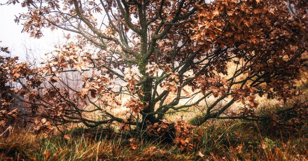 découvrez notre hommage spécial, une célébration pleine d'émotion et de respect pour honorer une personne, un événement ou une idée marquante.