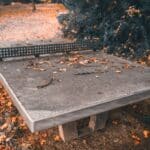 découvrez des blagues et des jeux de mots hilarants sur le tennis de table, pour faire rire les amateurs de ping-pong.
